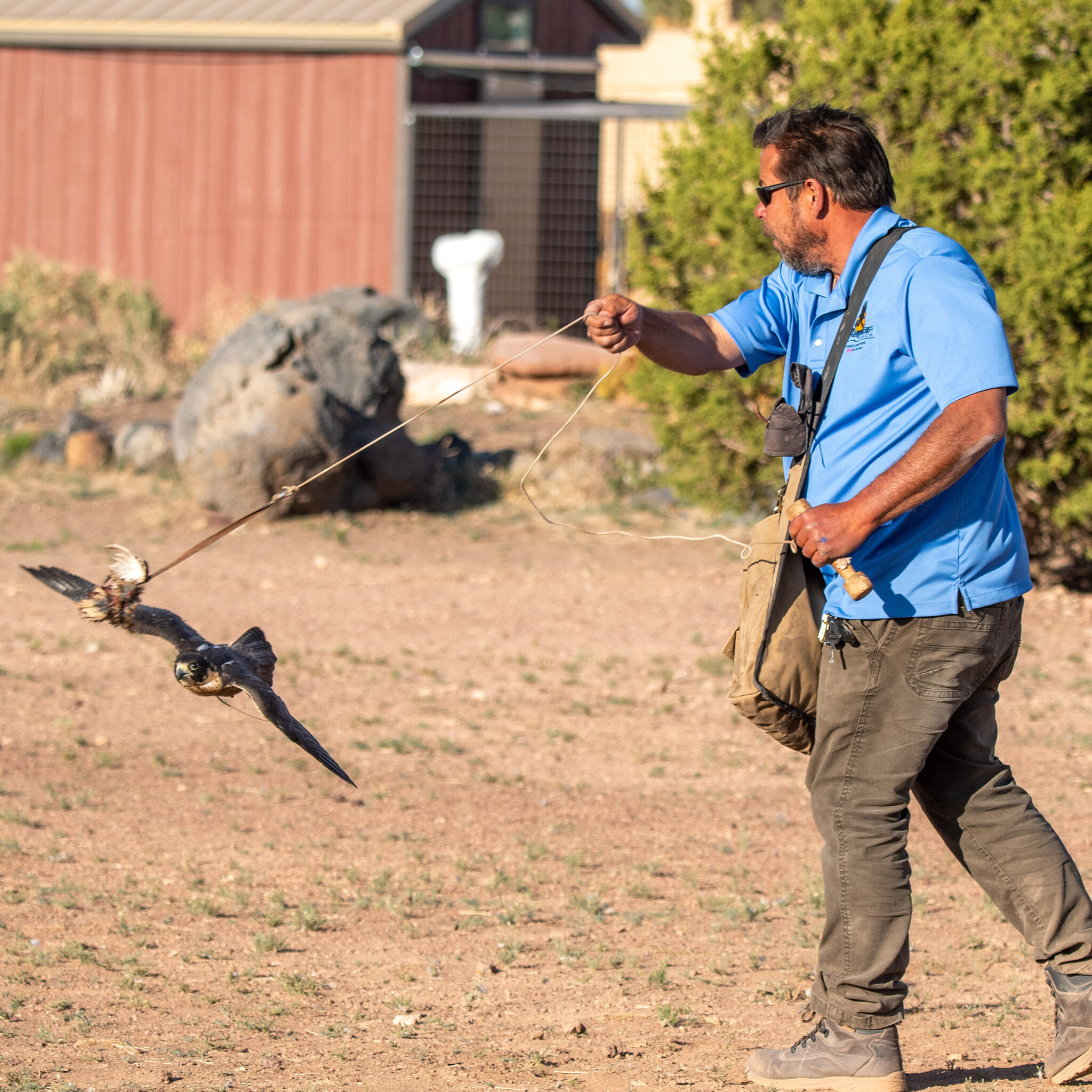 Grand Canyon Raptor Experiences – Raptor Ranch